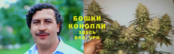 индика Елабуга