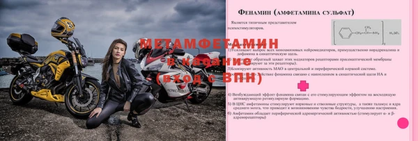 индика Елабуга