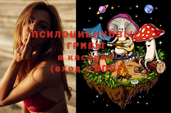 ALPHA-PVP Елизово