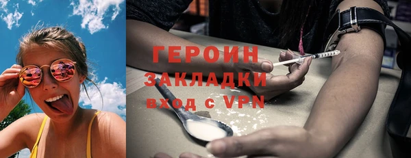 индика Елабуга