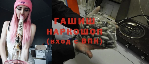 индика Елабуга