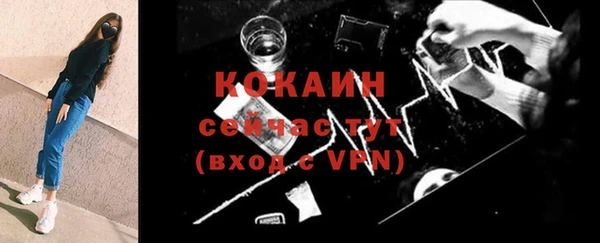 индика Елабуга