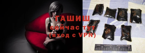 индика Елабуга