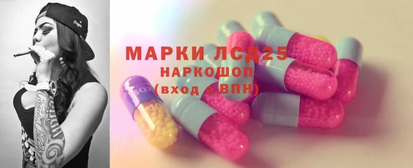индика Елабуга