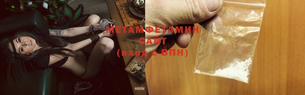 индика Елабуга