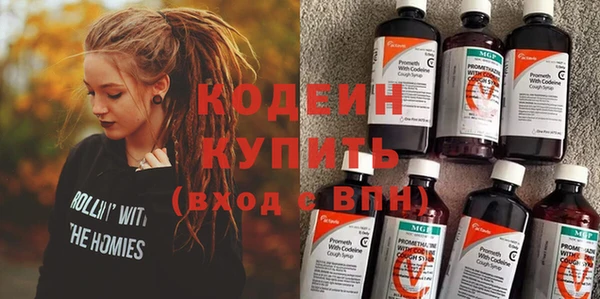 индика Елабуга