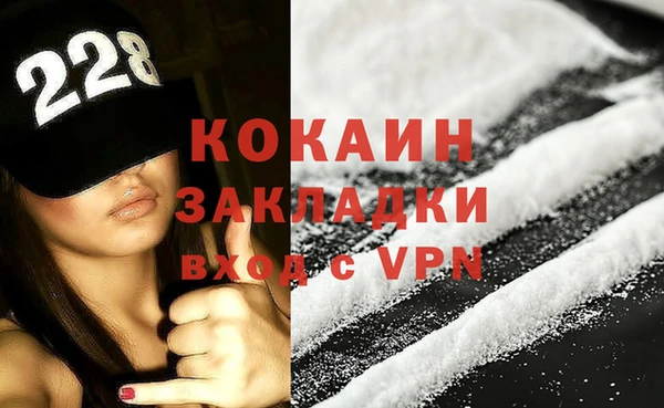 индика Елабуга