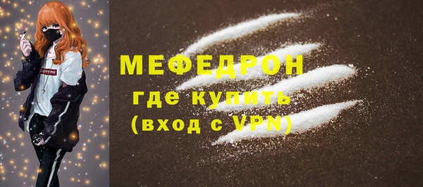 индика Елабуга
