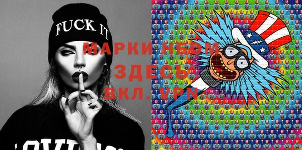 индика Елабуга
