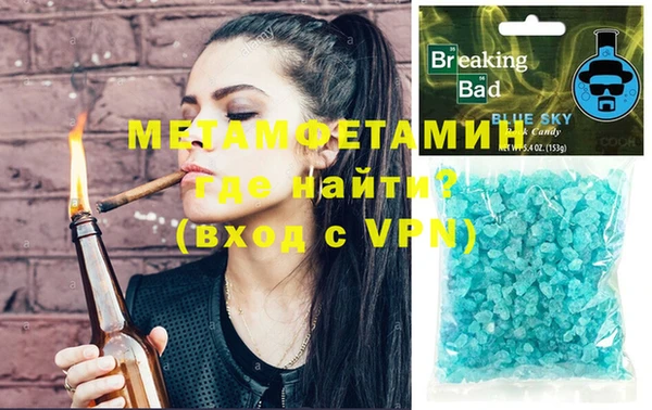 индика Елабуга