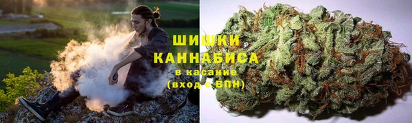 индика Елабуга