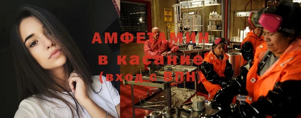индика Елабуга