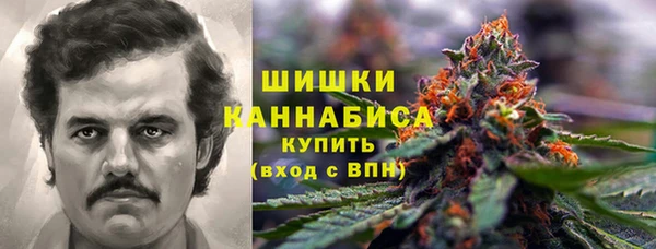 индика Елабуга