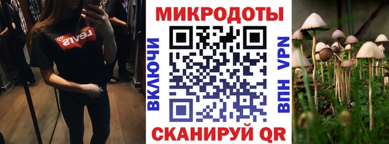 kraken рабочий сайт  Онега  Галлюциногенные грибы GOLDEN TEACHER  цена наркотик 